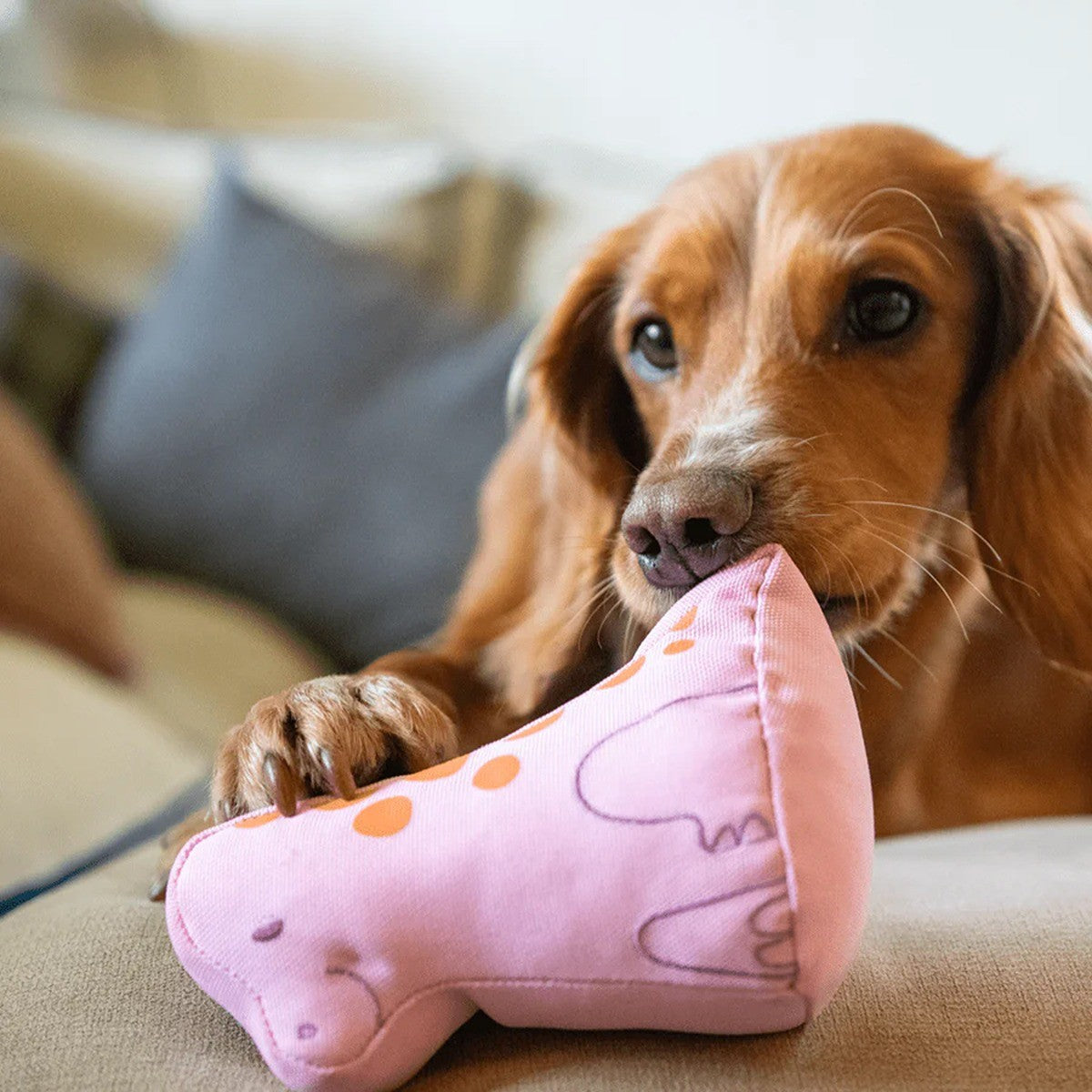 Beco Hattie the Hatchling Dog Toy