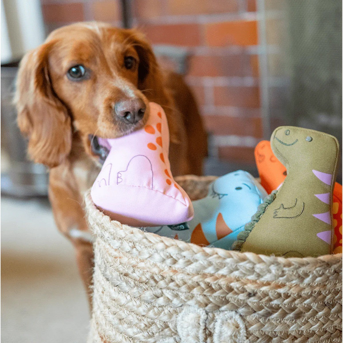 Beco Hattie the Hatchling Dog Toy