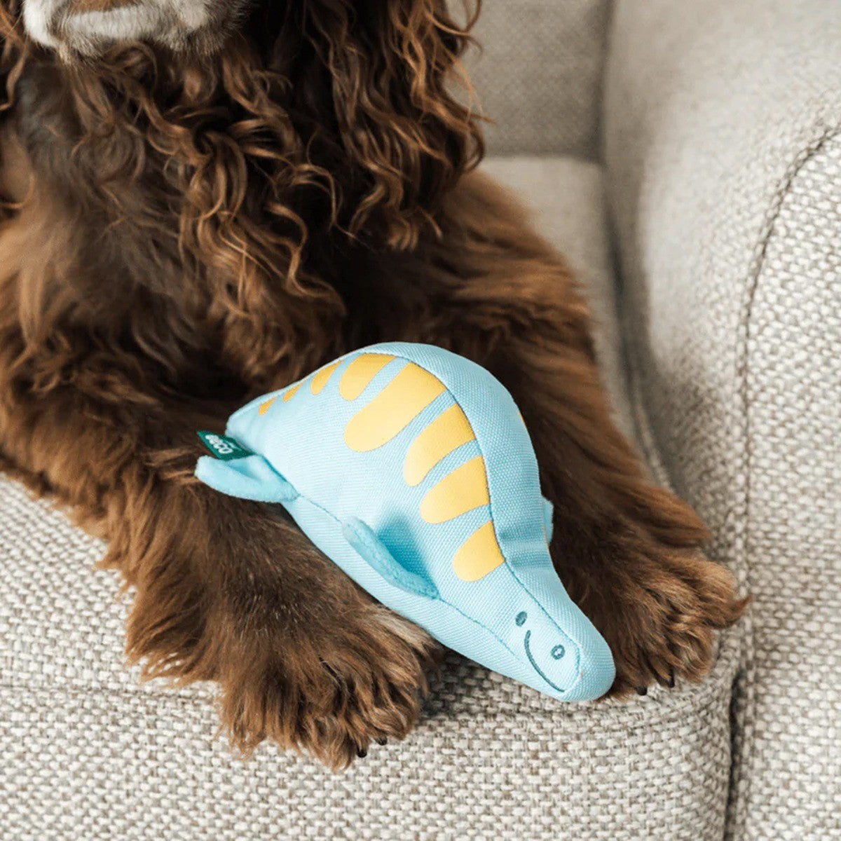 Beco Paddy the Plesiosaur Dog Toy