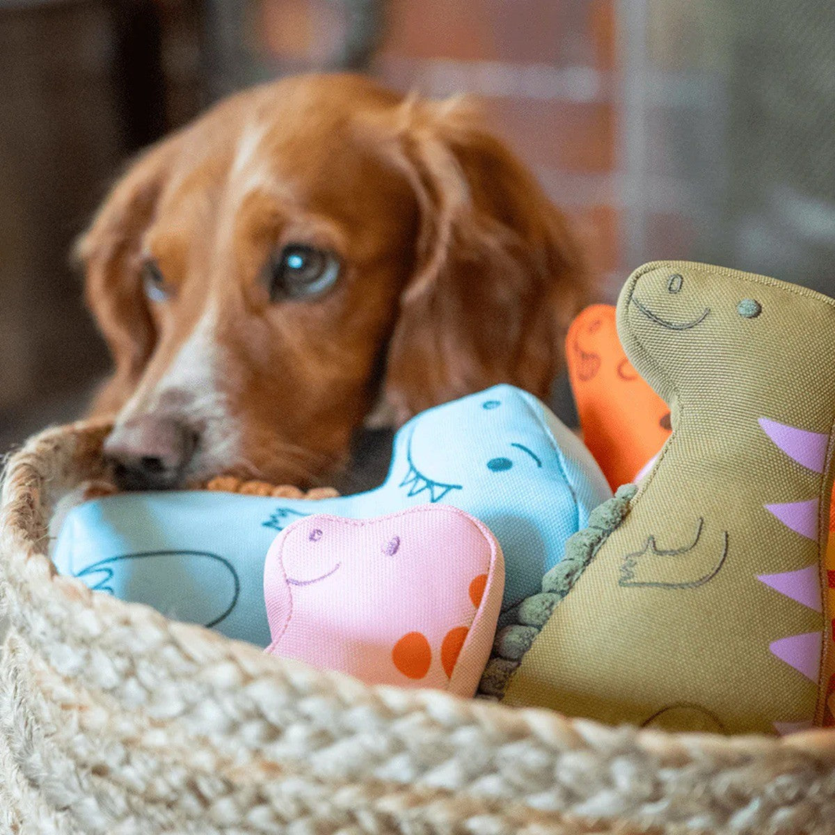 Beco Tony the T-Rex Dog Toy