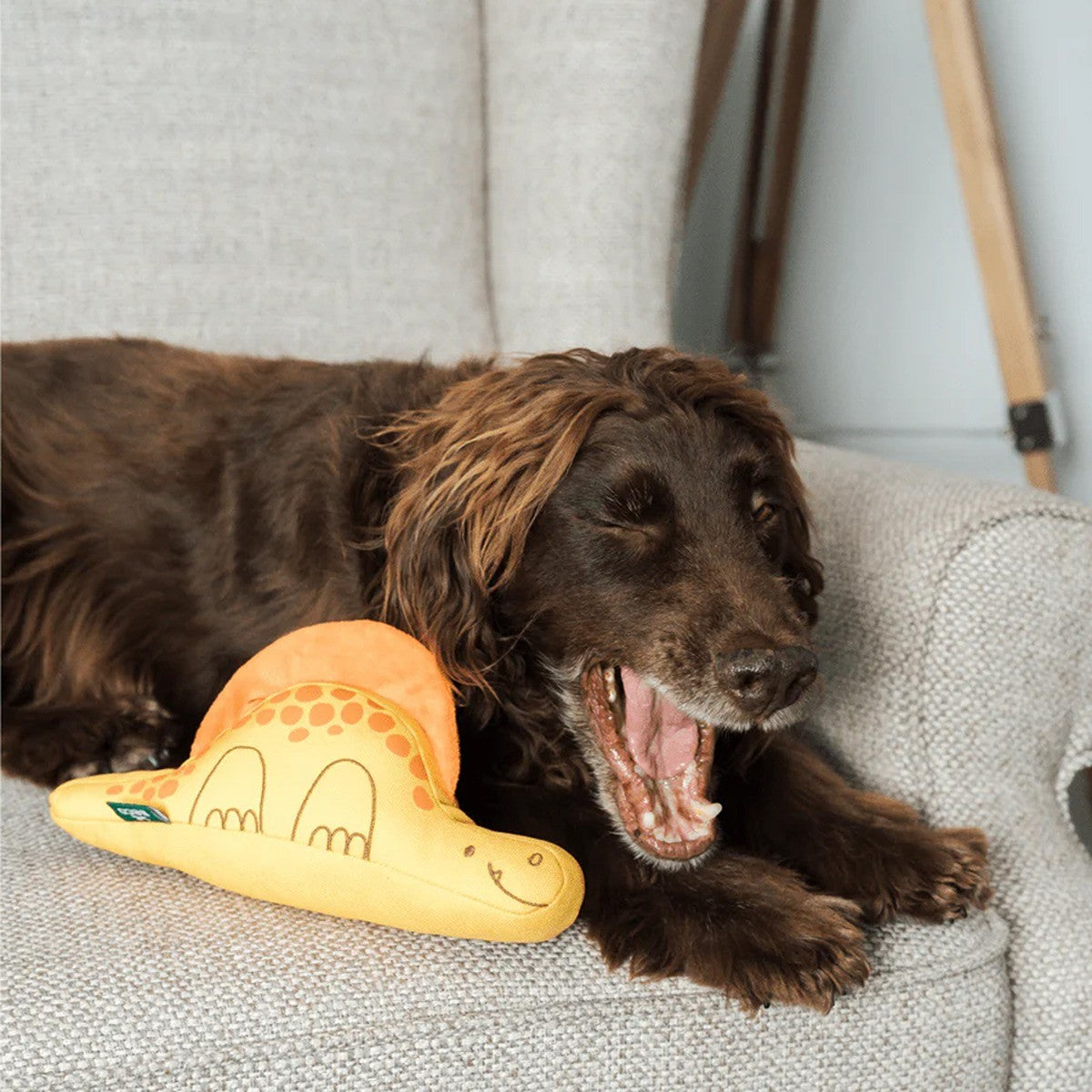 Beco Tarka the Triceratops Dog Toy
