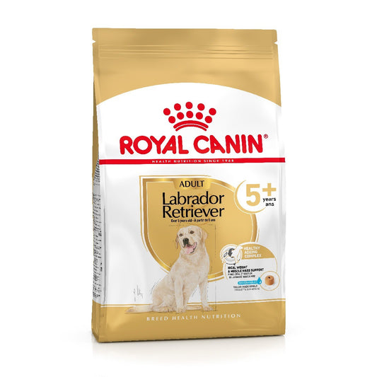 Royal Canin Labrador Retriever Adult 5+ Dry Dog Food