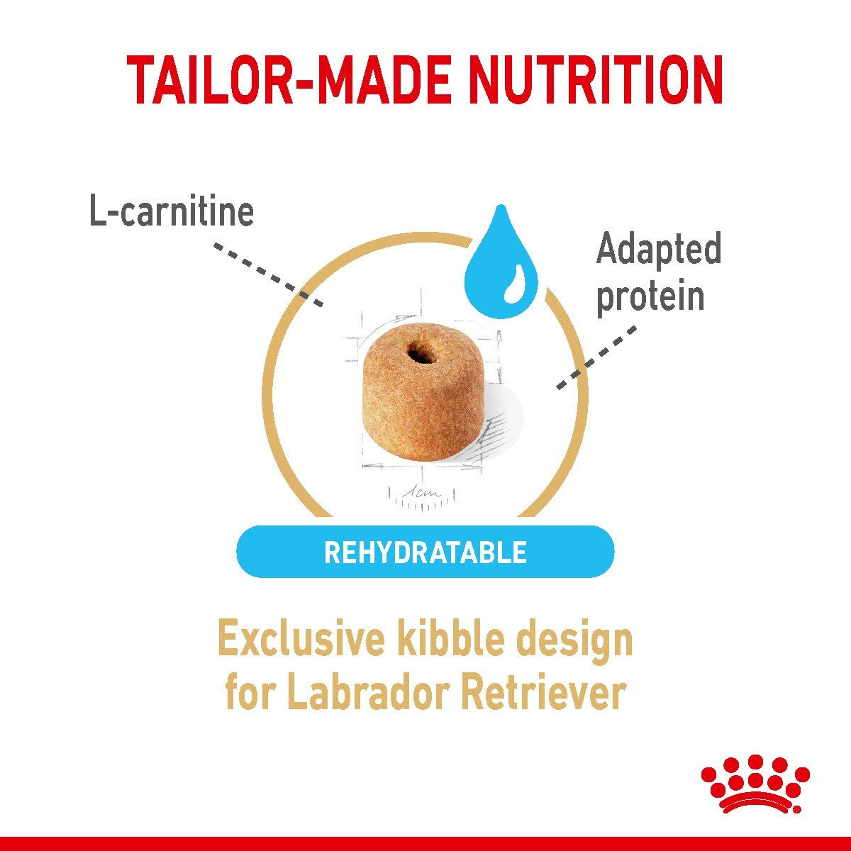 Royal Canin Labrador Retriever Adult 5+ Dry Dog Food