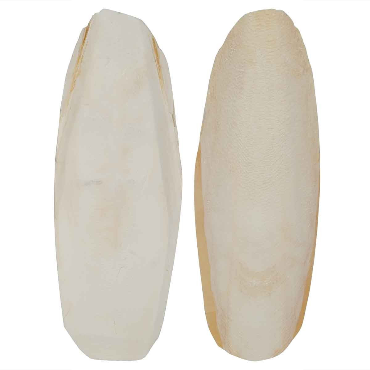 Lexi & Me Cuttlebone Twin Pack