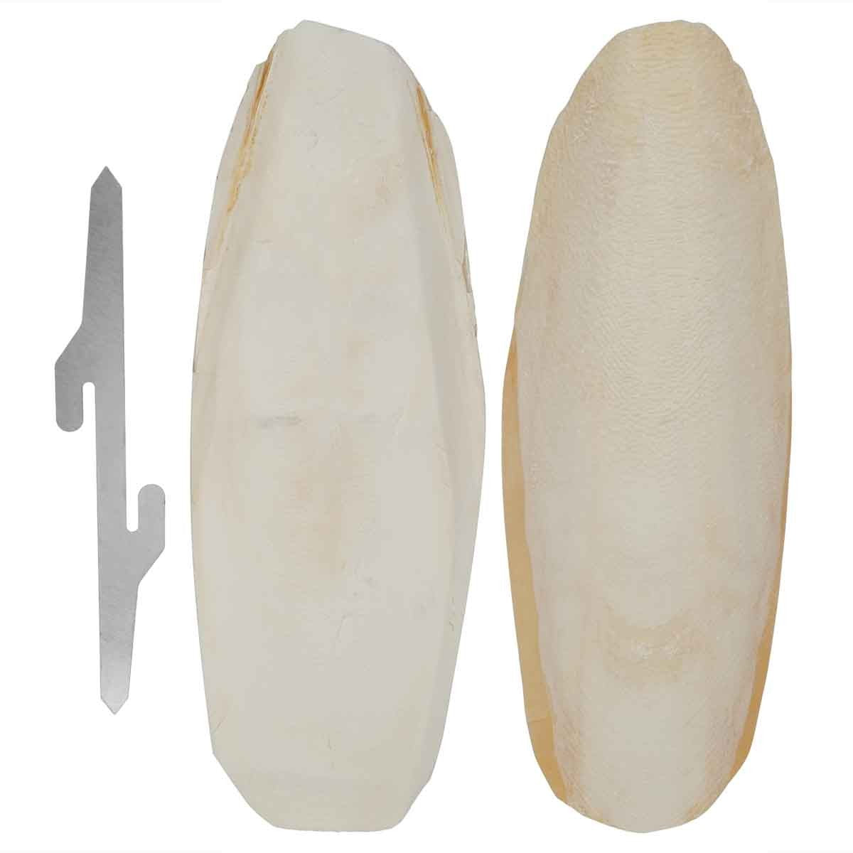 Lexi & Me Cuttlebone Twin Pack