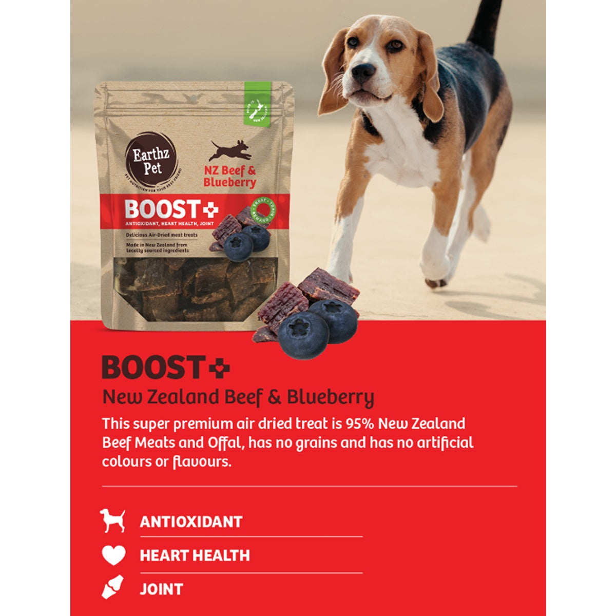 BOOST+ Beef & Blueberry Air-Dried Dog Treats