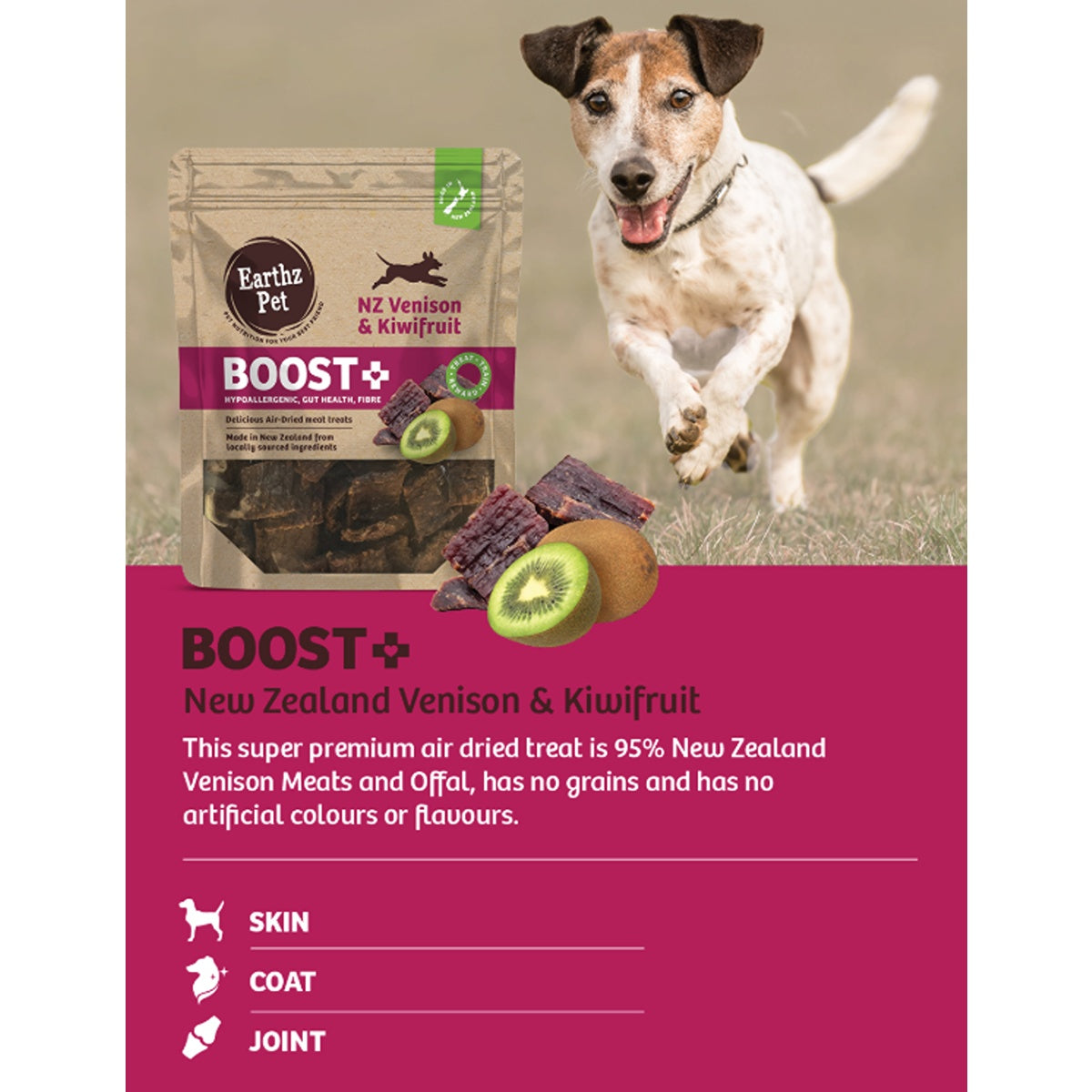 BOOST+ Venison & Kiwifruit Air Dried Dog Treats