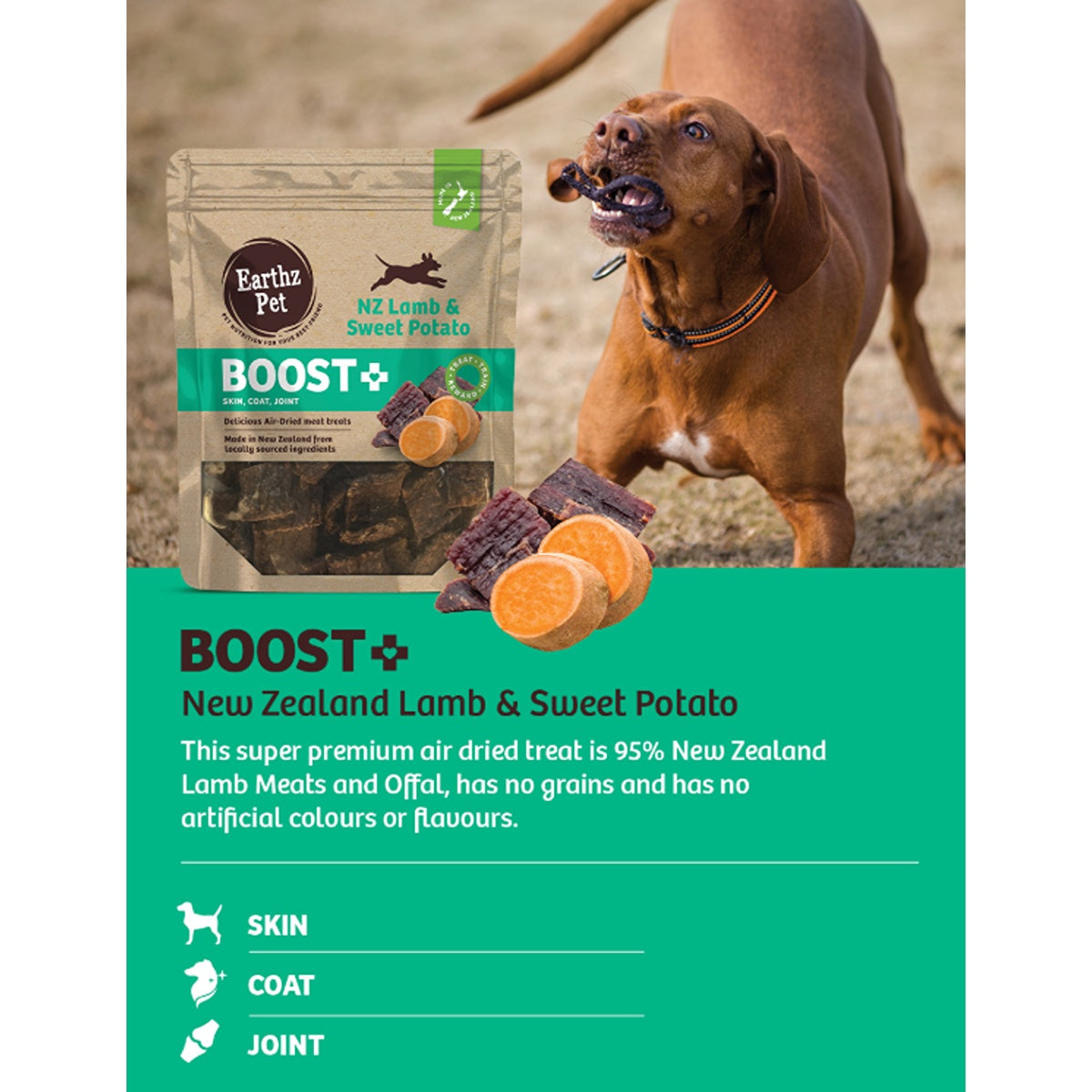 BOOST+ Lamb & Sweet Potato Air Dried Dog Treats