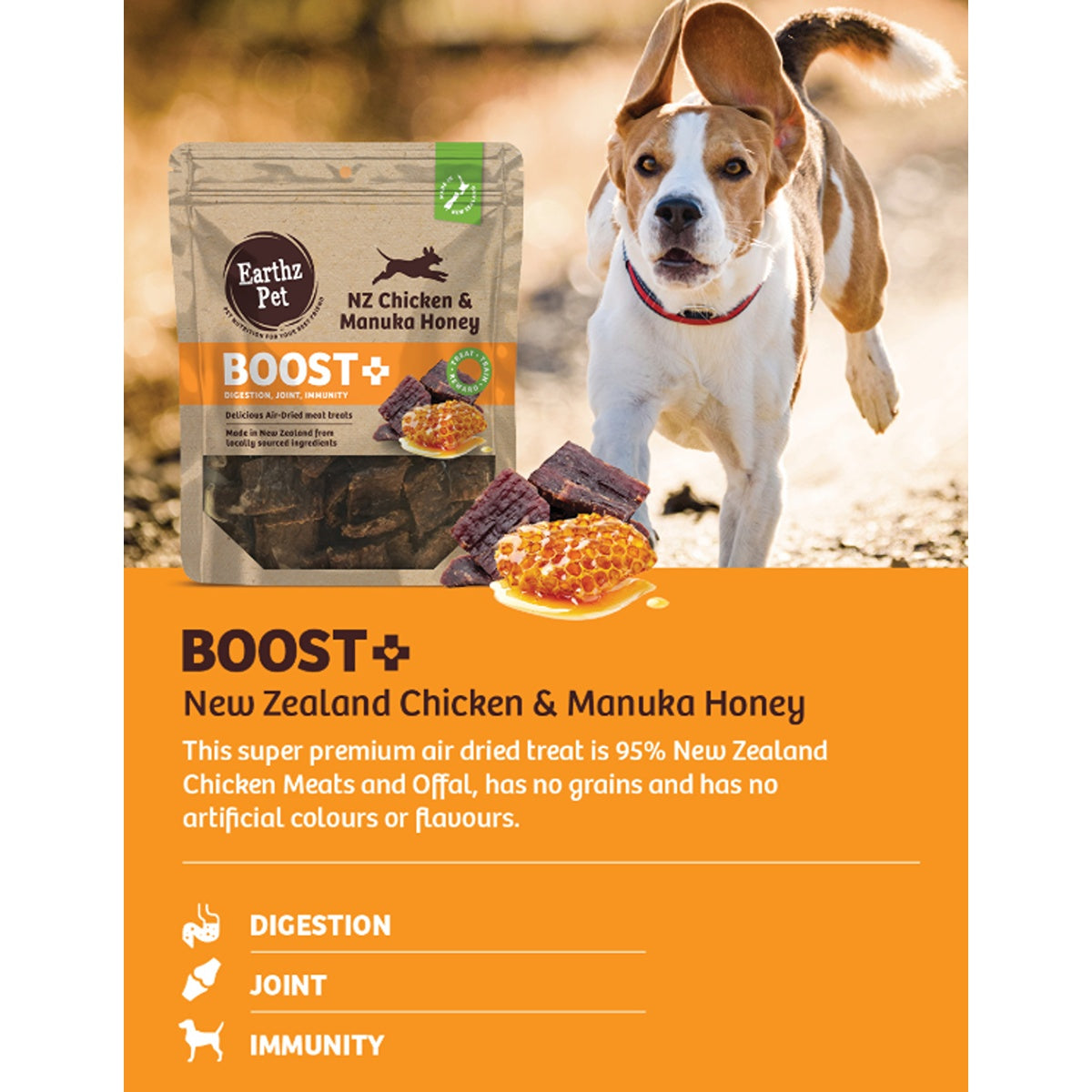 BOOST+ Chicken and Manuka Honey Air Dried Dog Treats