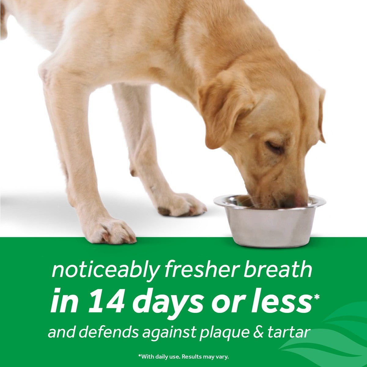 TropiClean Fresh Breath Dental Trial Kit for Dogs