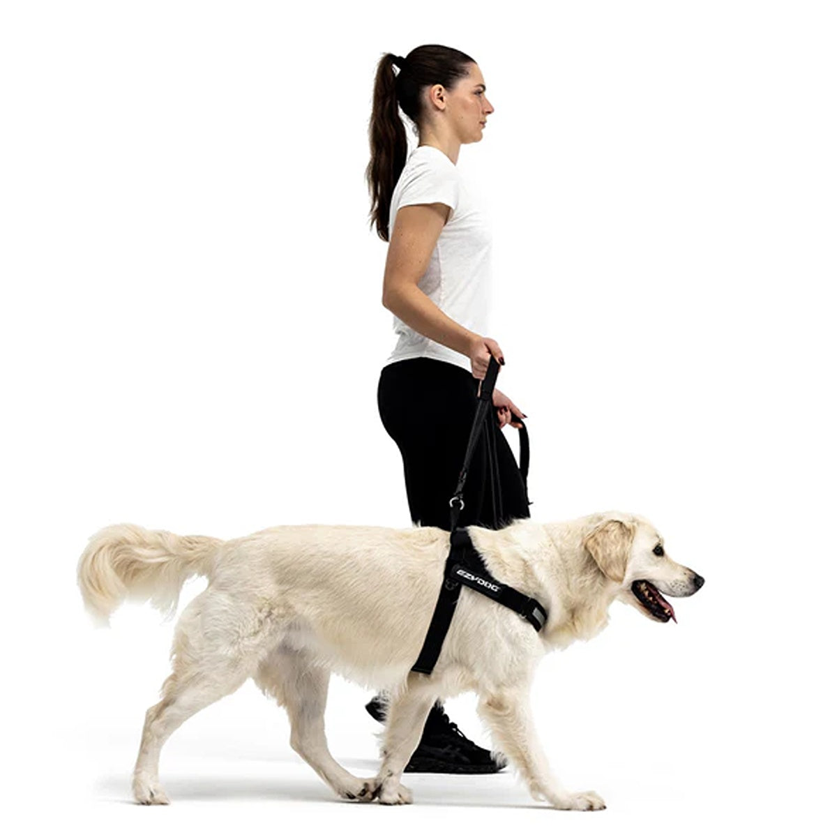EzyDog Express Dog Harness