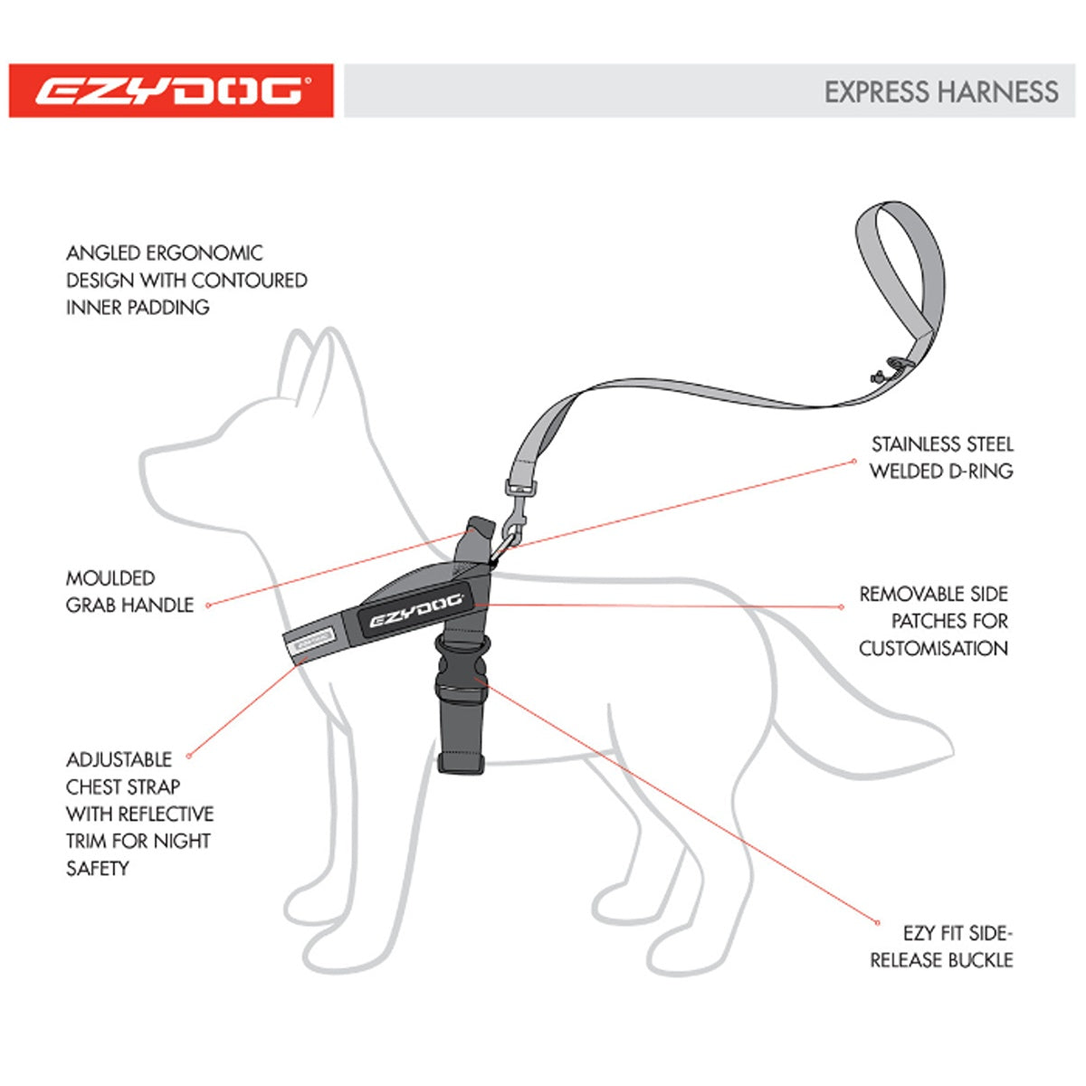 EzyDog Express Dog Harness