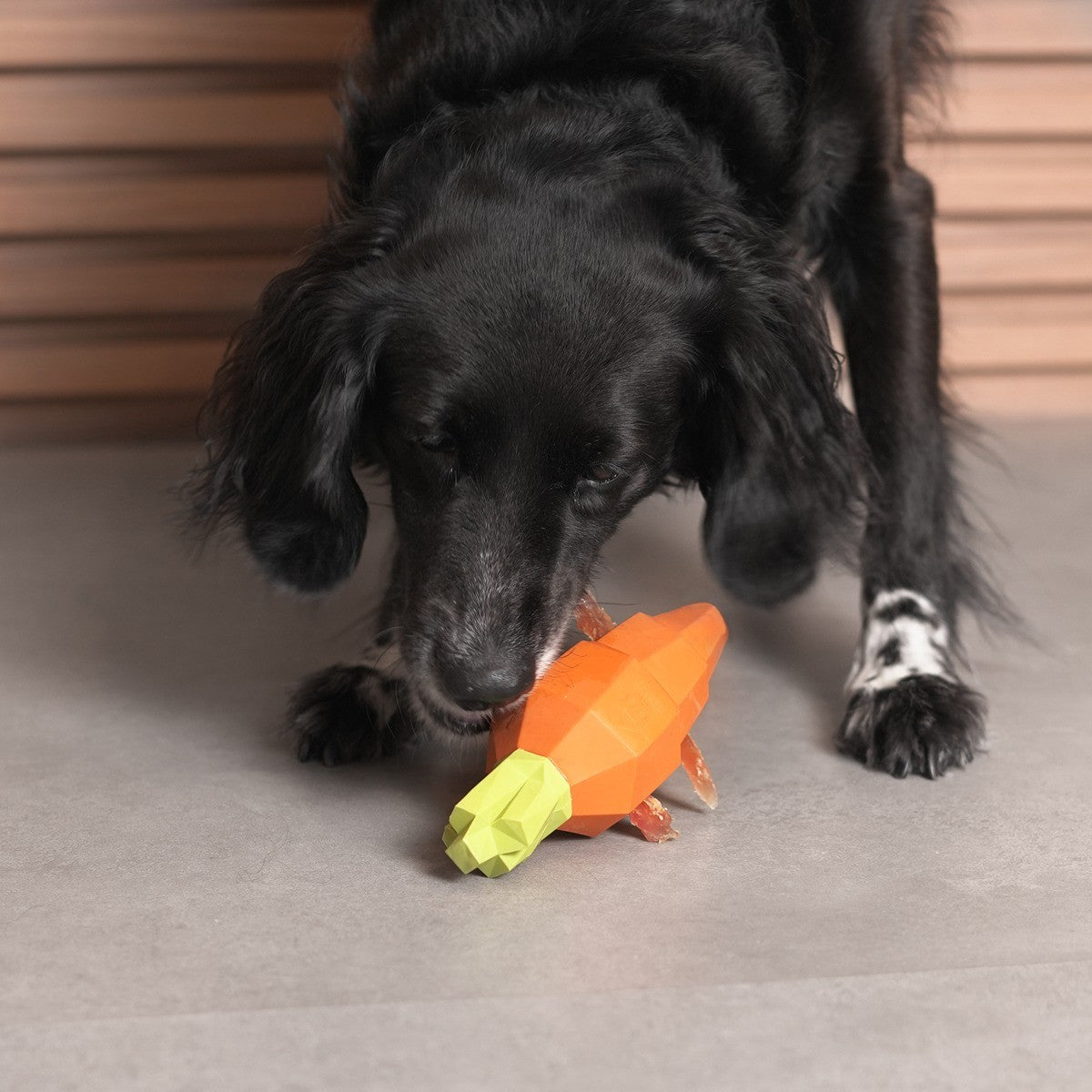Zee.Dog Super Veggiez Carrot Dog Toy