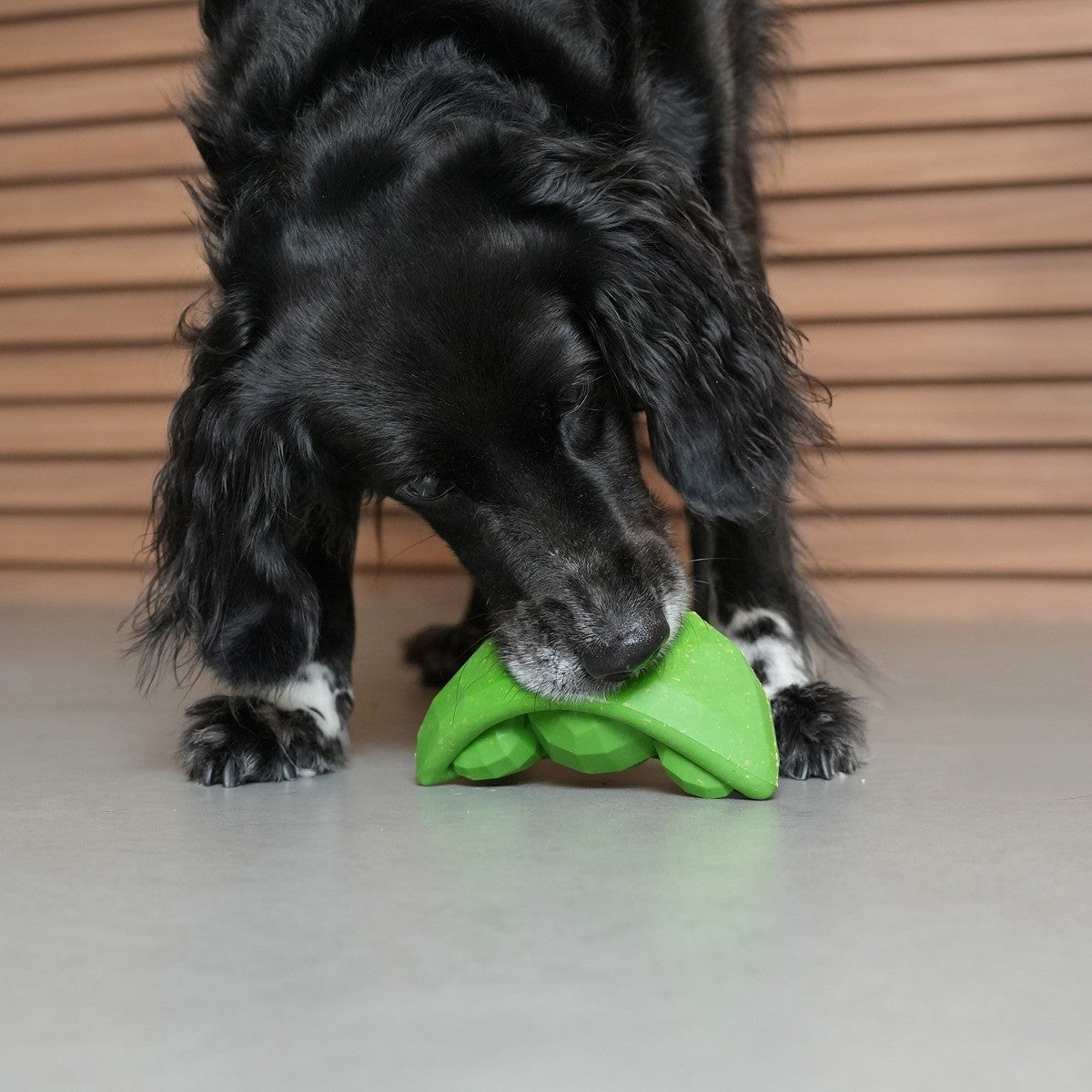 Zee.Dog Super Veggiez Green Bean Dog Toy