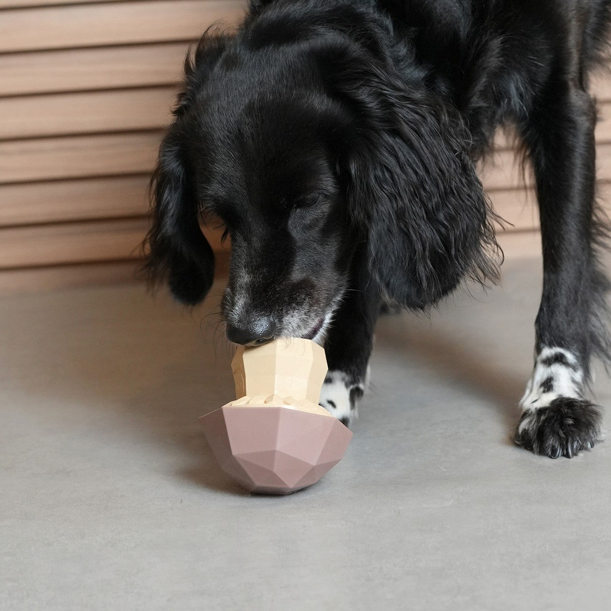 Zee.Dog Super Veggiez Mushroom Dog Toy