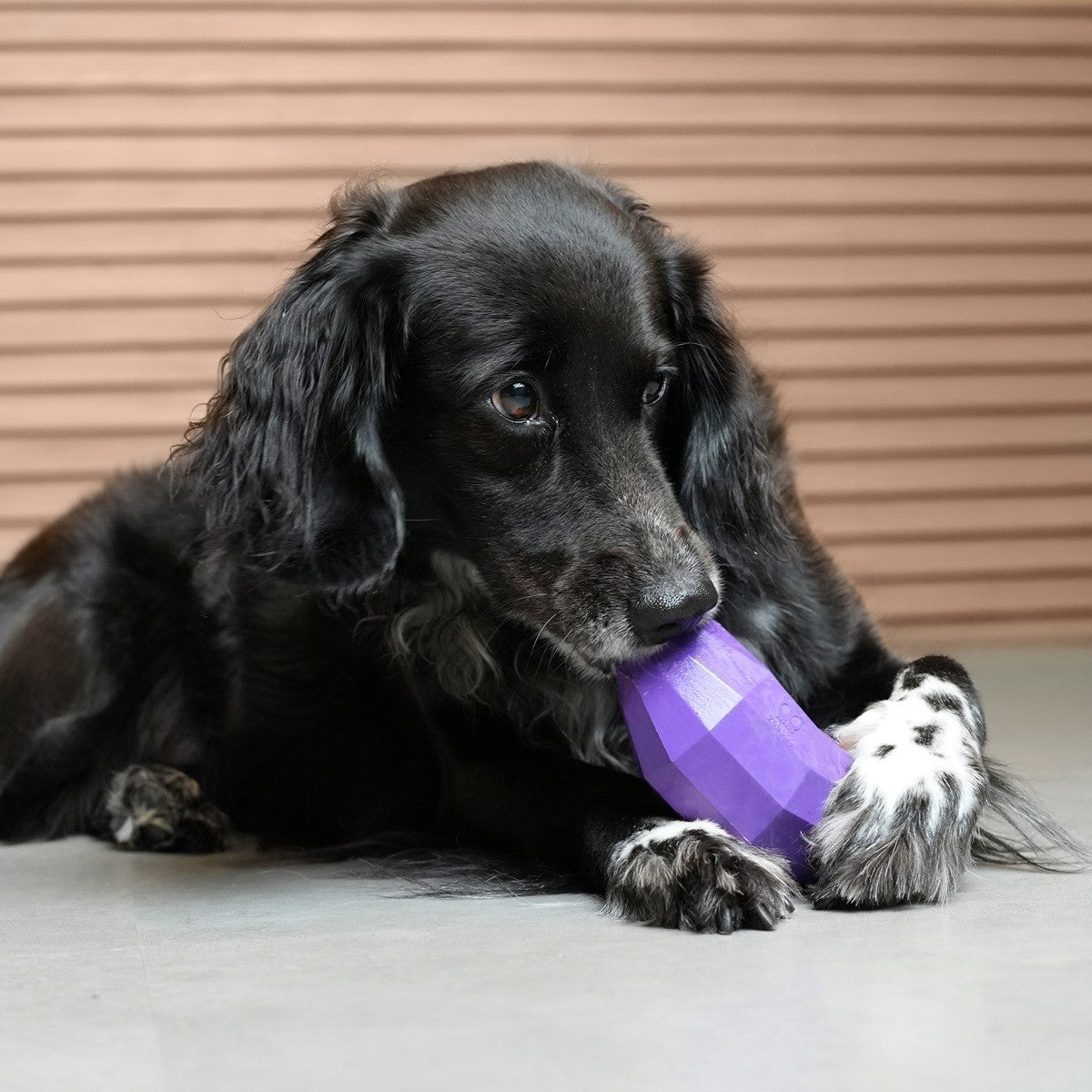 Zee.Dog Super Veggiez Eggplant Dog Toy