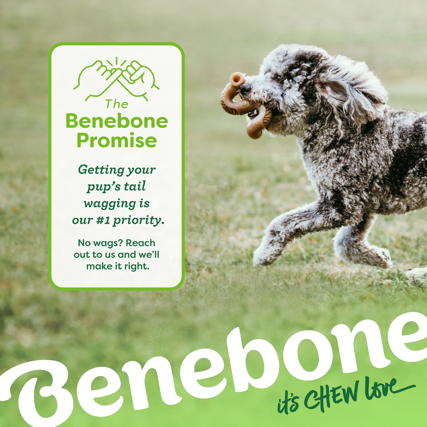 Benebone Tripe Bone Dog Toy