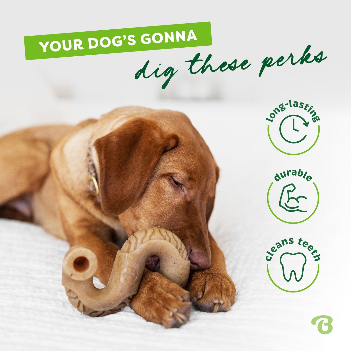 Benebone Tripe Bone Dog Toy