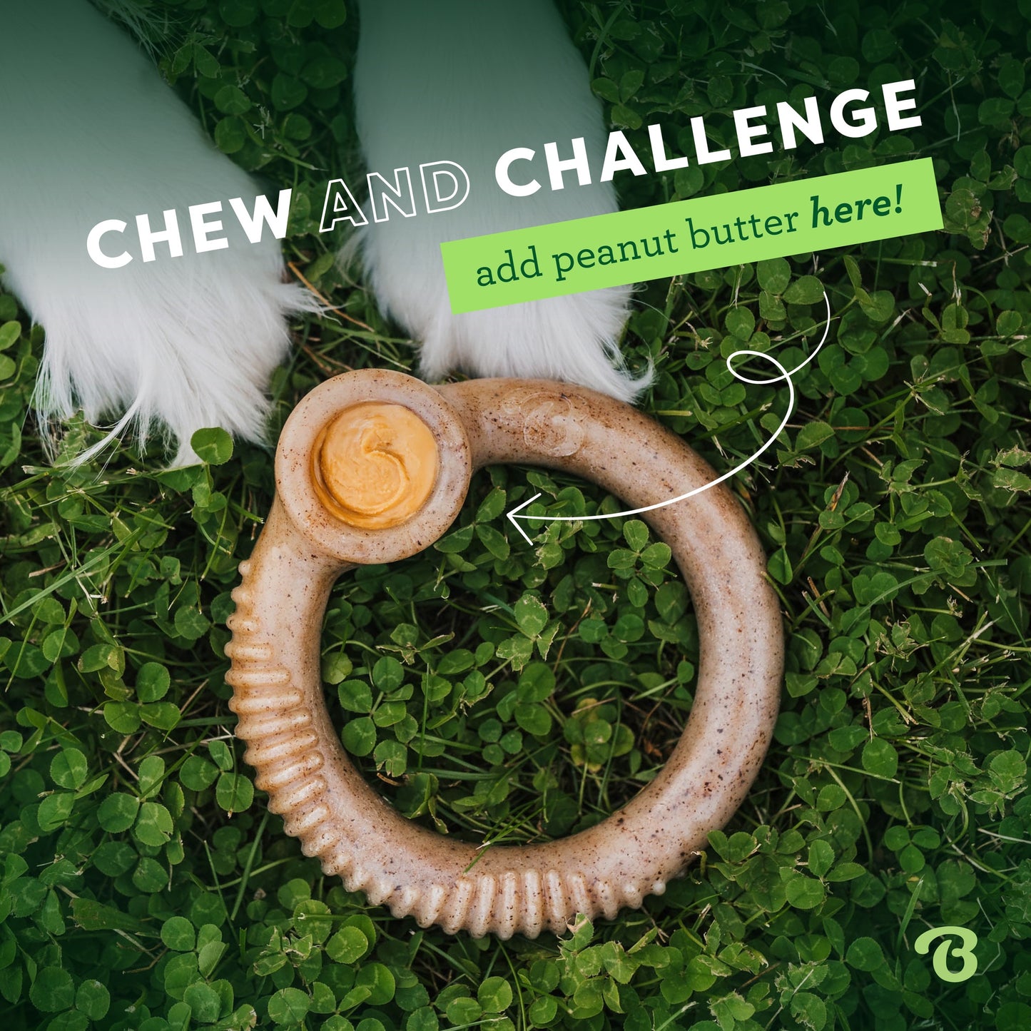 Benebone Bacon Ring Dog Toy