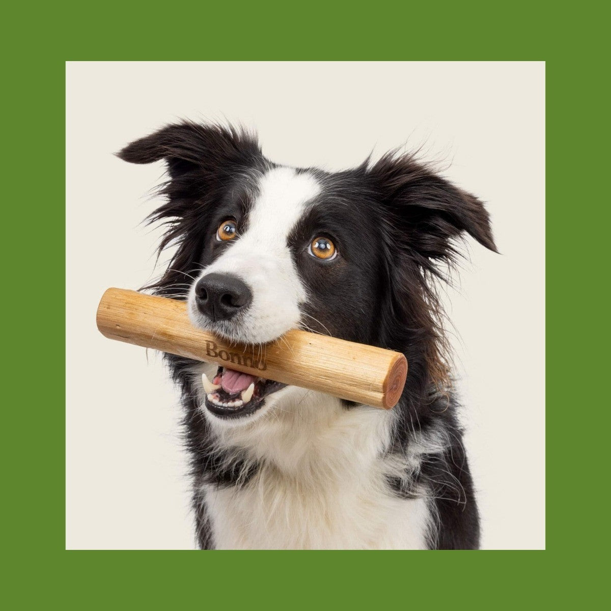 Bonno Natural Manuka Wood Dog Chew