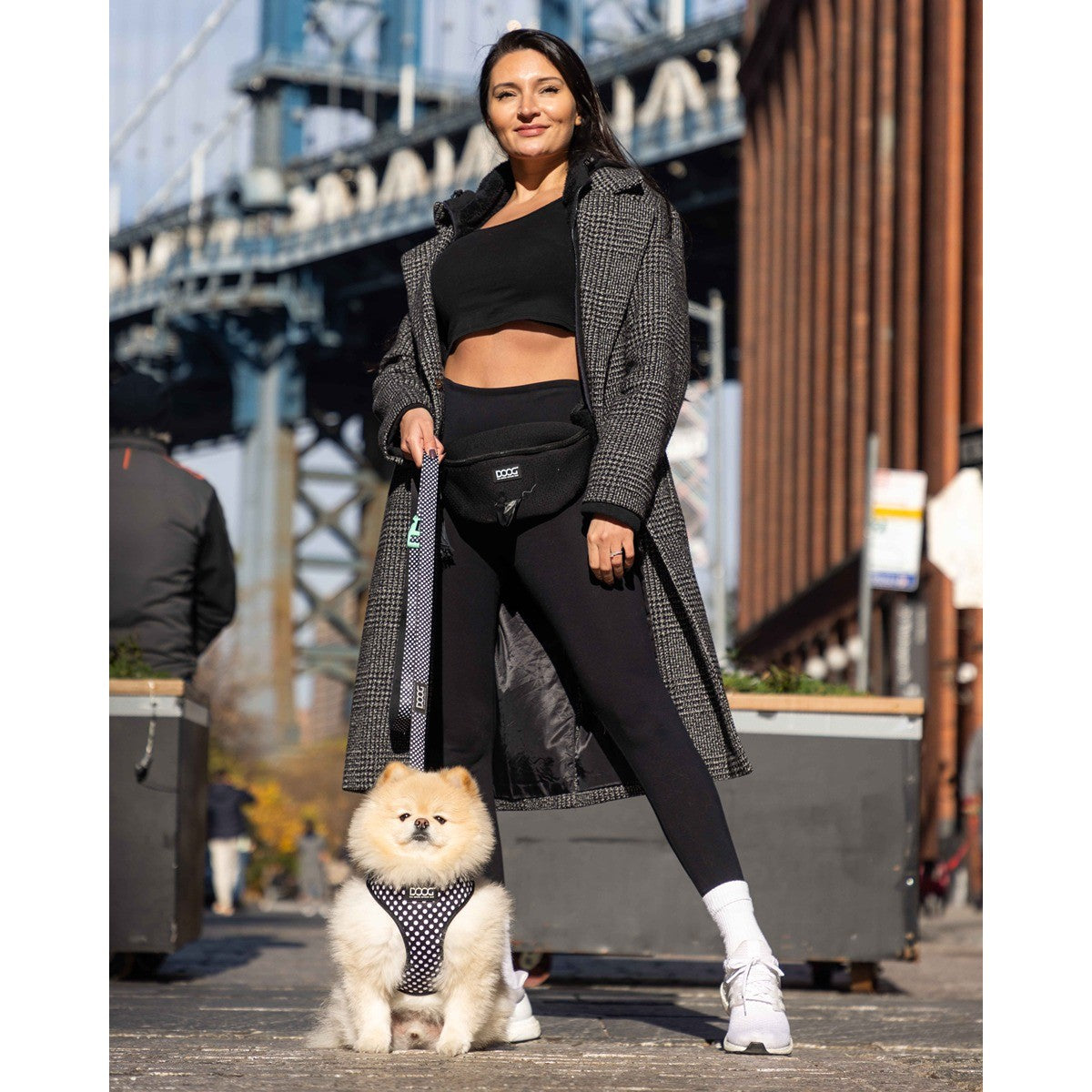 DOOG Neosport Hip Belt