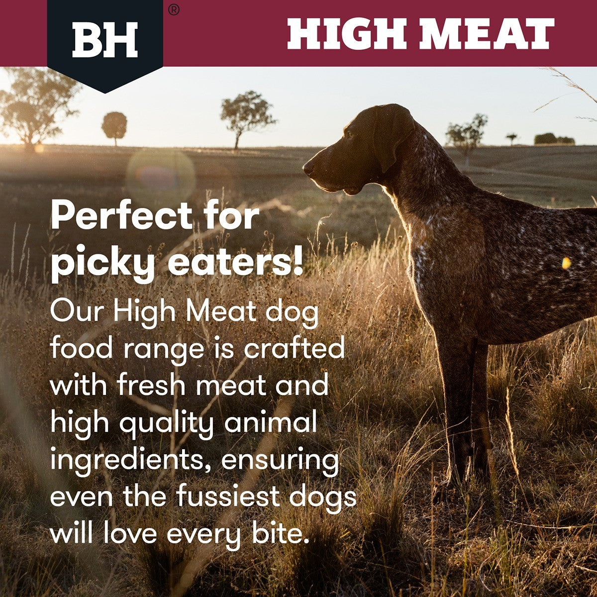Black Hawk High Meat Australian Red Meat Dry Dog Food