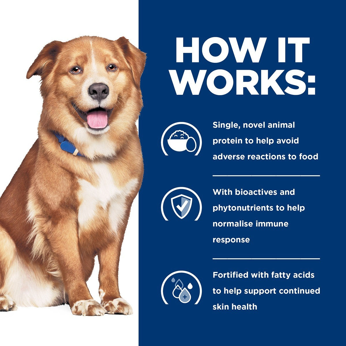 Hill’s Prescription Diet Derm Complete Canned Wet Dog Food