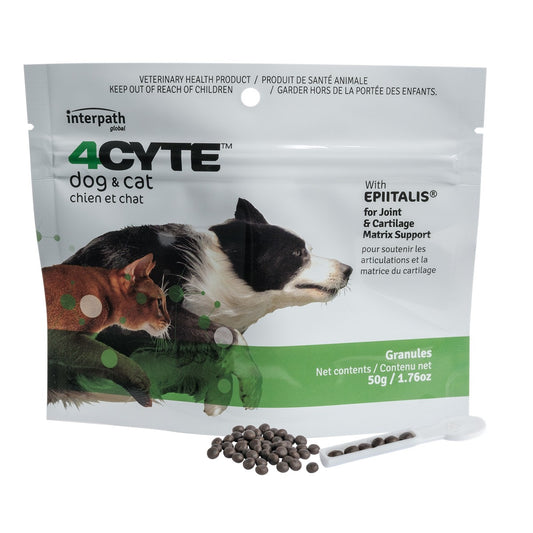 4CYTE Granules Joint & Mobility Supplements for Dogs and Cats