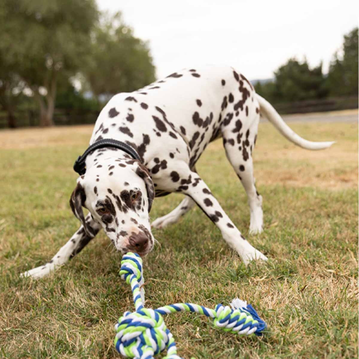 Lexi & Me Triple Knot Rope Tug Toy