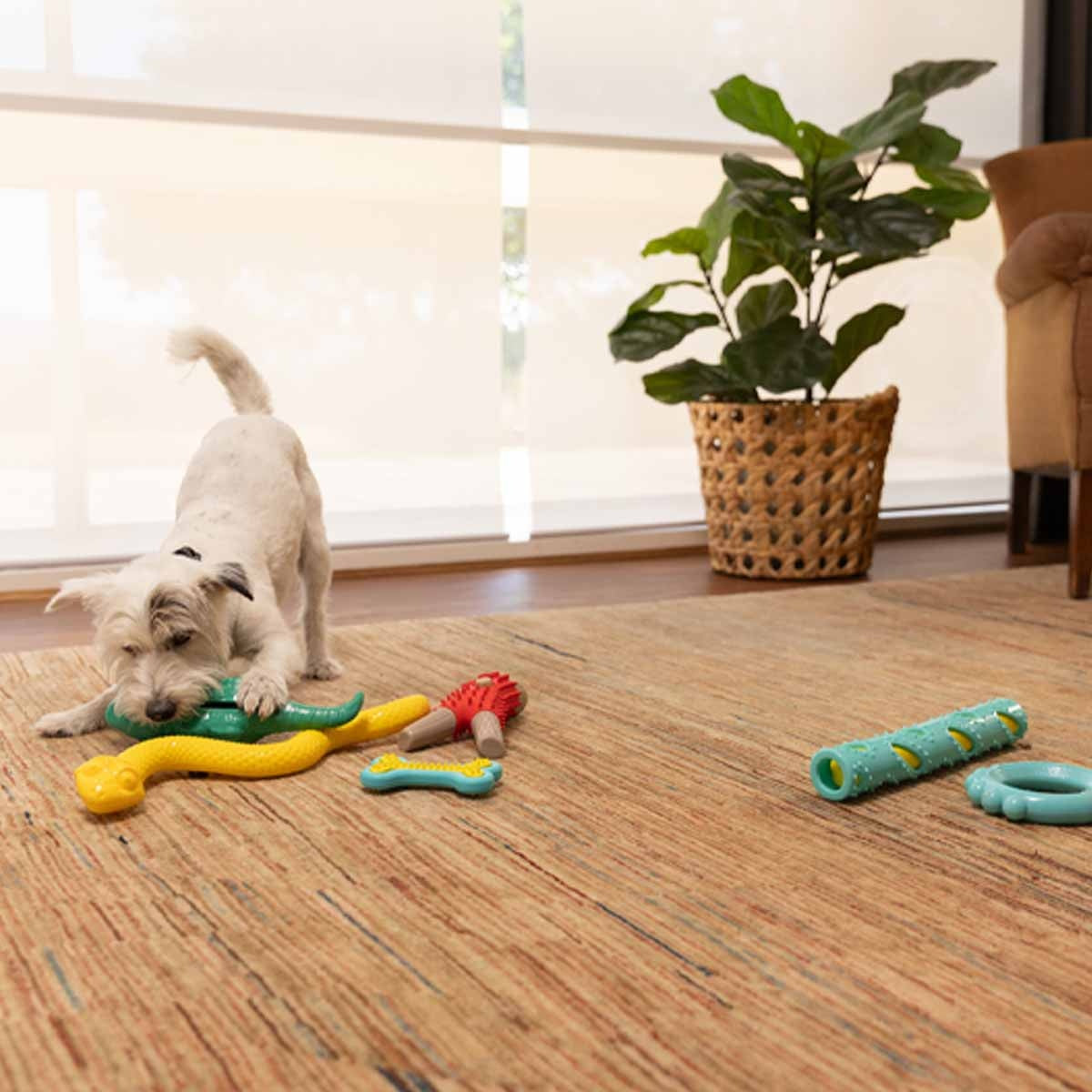 Lexi & Me Crocodile Rubber Treat Toy