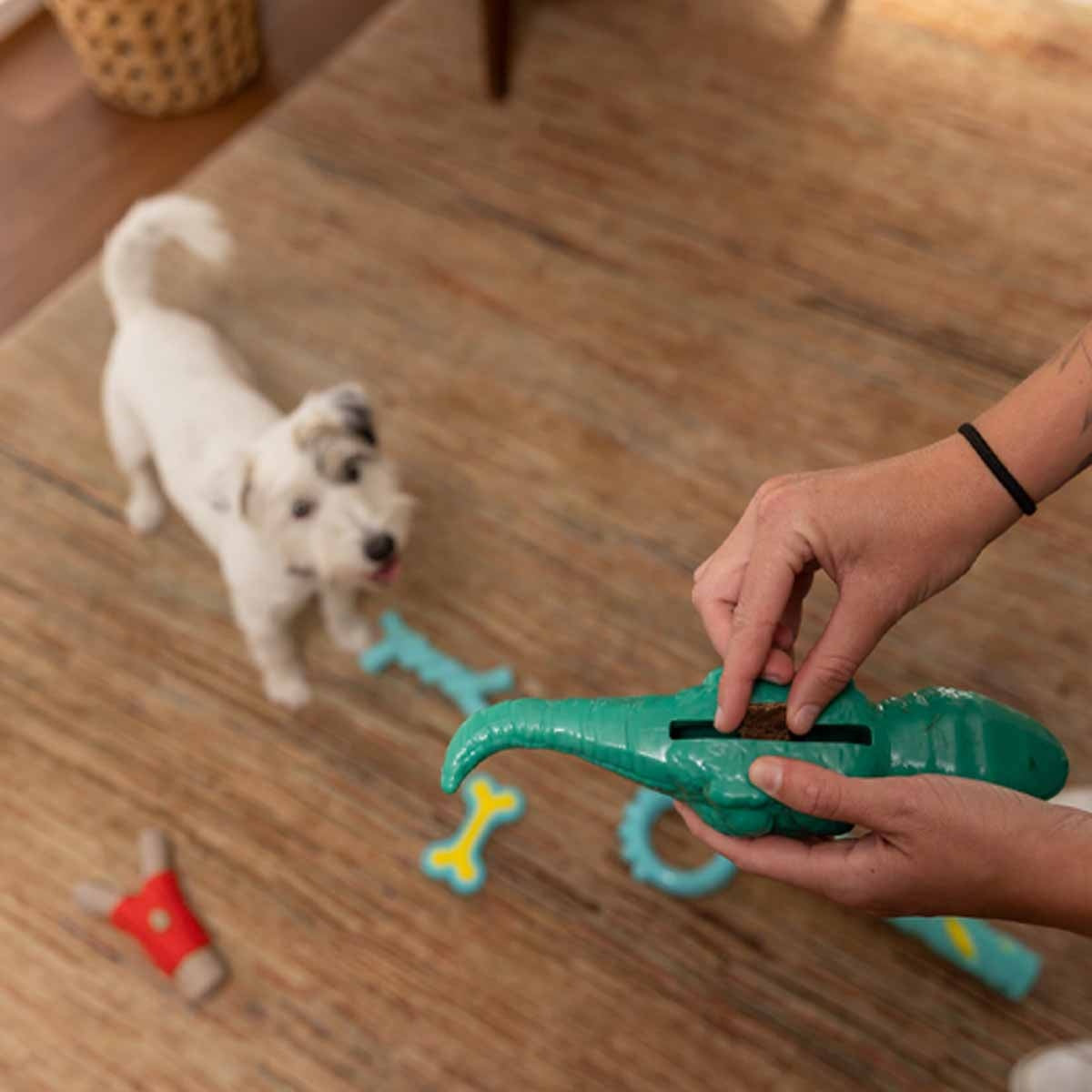 Lexi & Me Crocodile Rubber Treat Toy