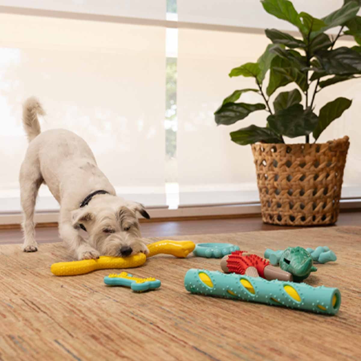 Lexi & Me Snake Rubber Treat Toy