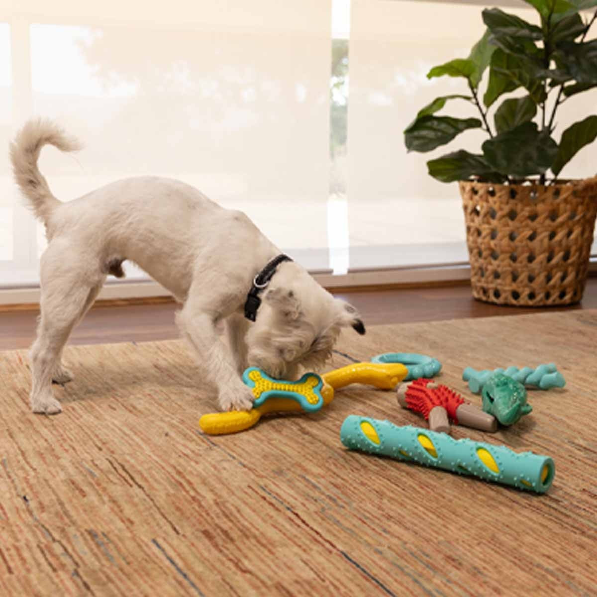Lexi & Me Puppy Teething Bone Chew Toy