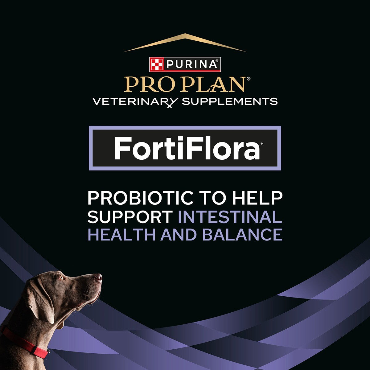 Pro Plan Vet Diet FortiFlora Canine Probiotic Supplement