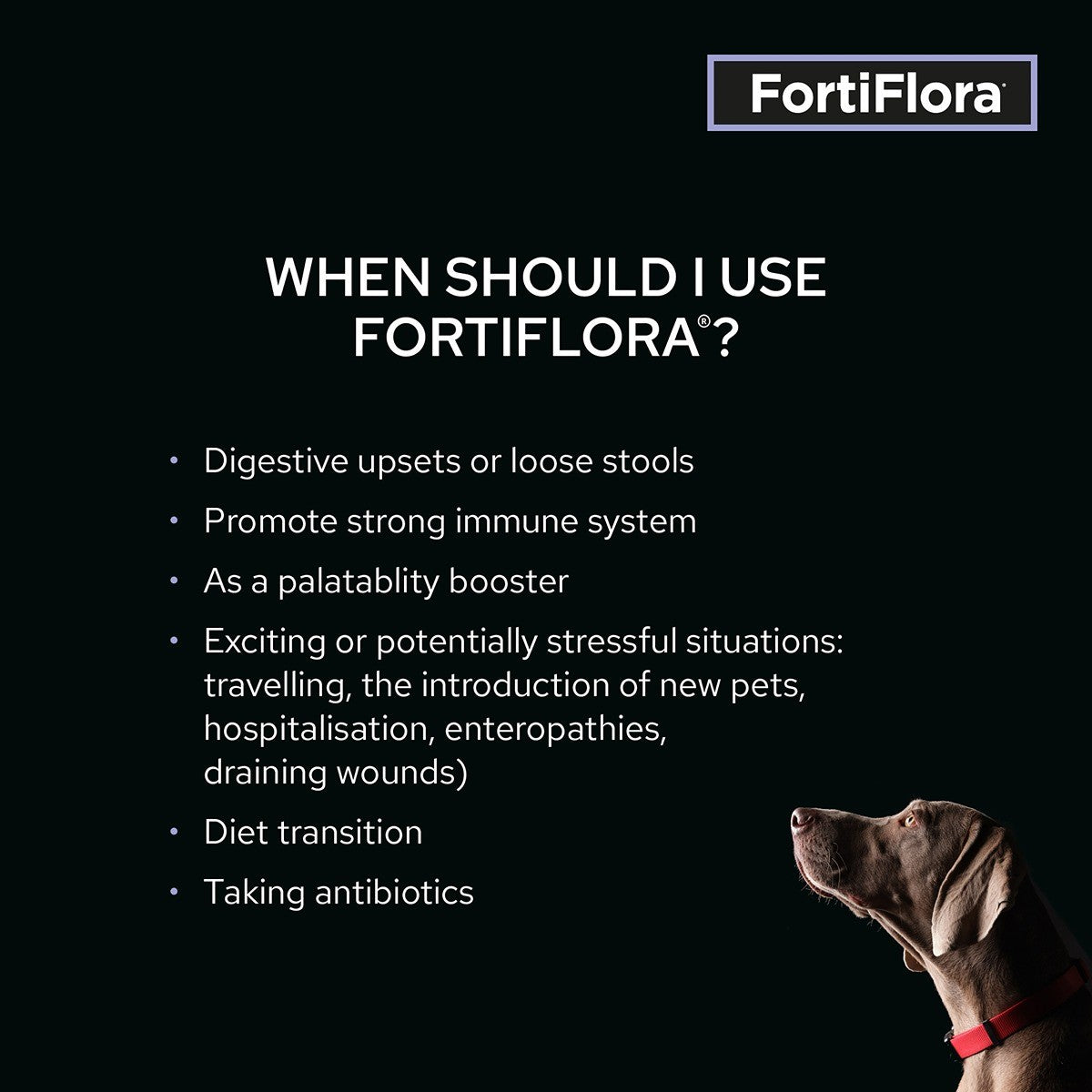 Pro Plan Vet Diet FortiFlora Canine Probiotic Supplement