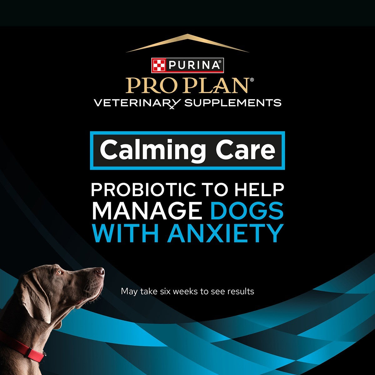 Pro Plan Vet Diet Calming Care Canine Supplement