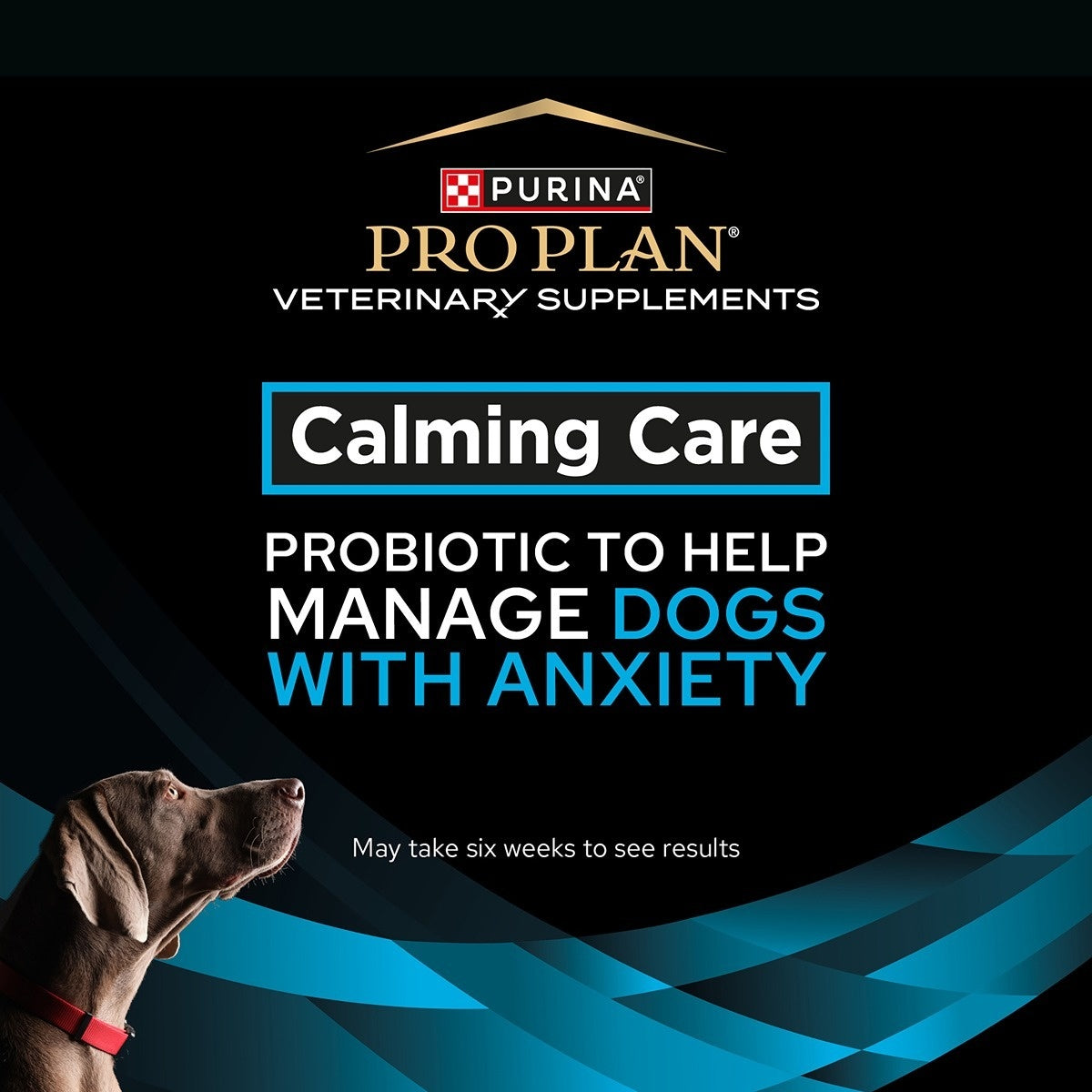 Pro Plan Vet Supplement Canine Calming Care
