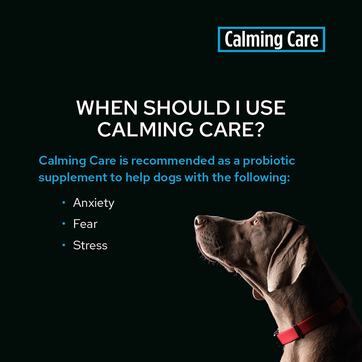 Pro Plan Vet Supplement Canine Calming Care