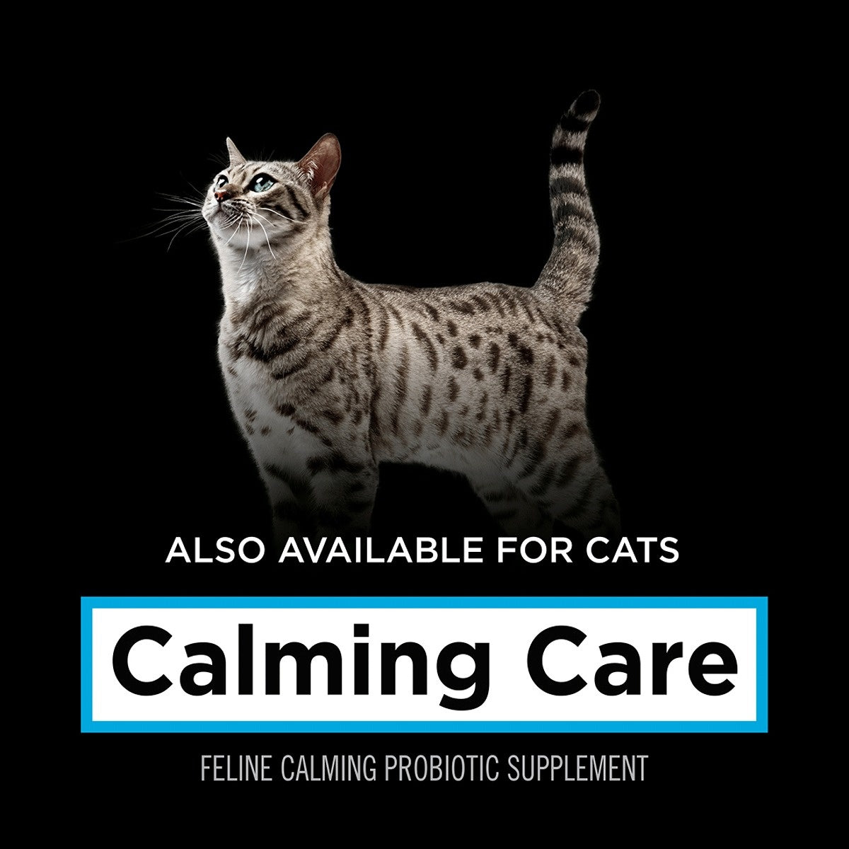 Pro Plan Vet Supplement Canine Calming Care