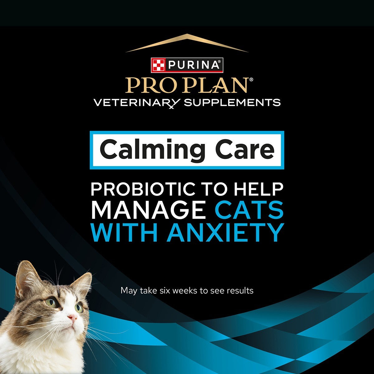 Pro Plan Vet Diet Calming Care Feline Supplement