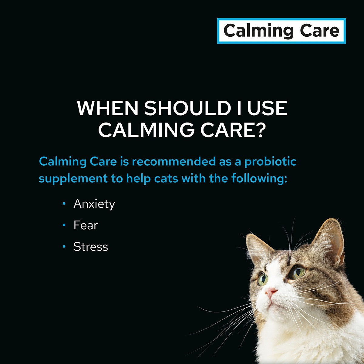 Pro Plan Vet Diet Calming Care Feline Supplement