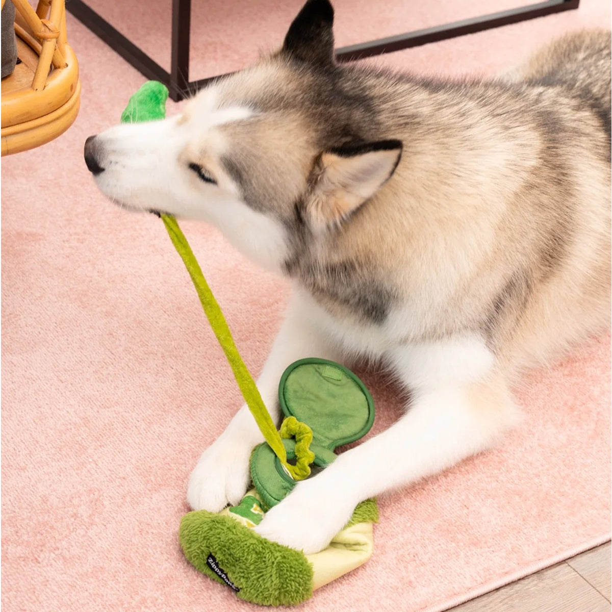 ZippyPaws Bungee Burrow Pickle Jar Dog Toy