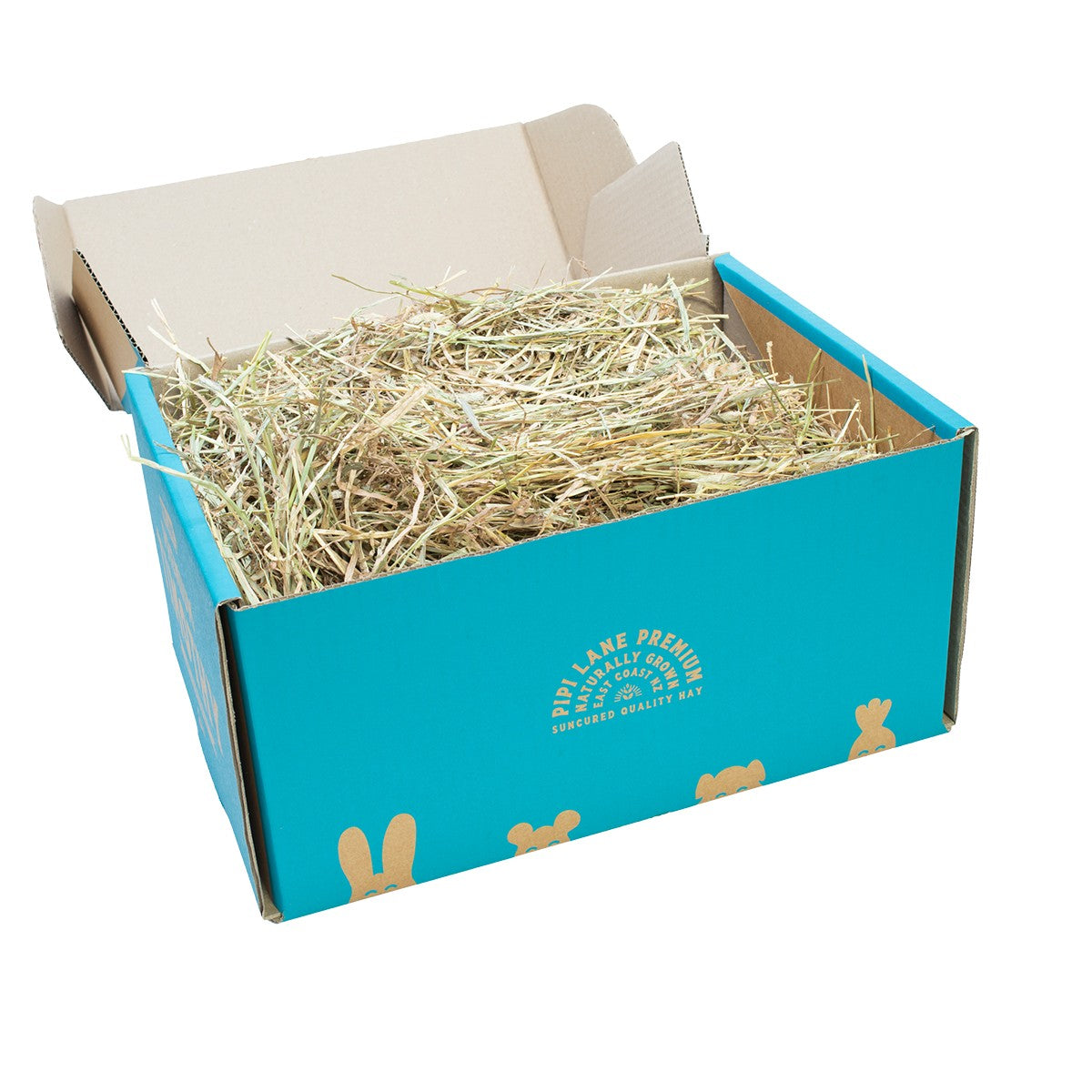 Pipi Lane Timothy Hay