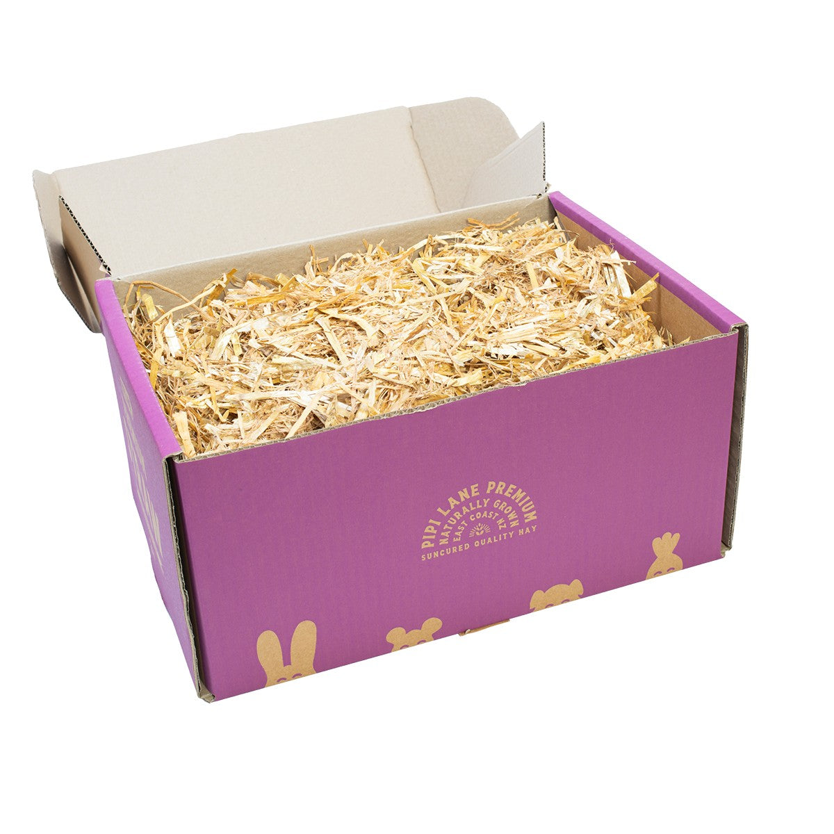 Pipi Lane Straw