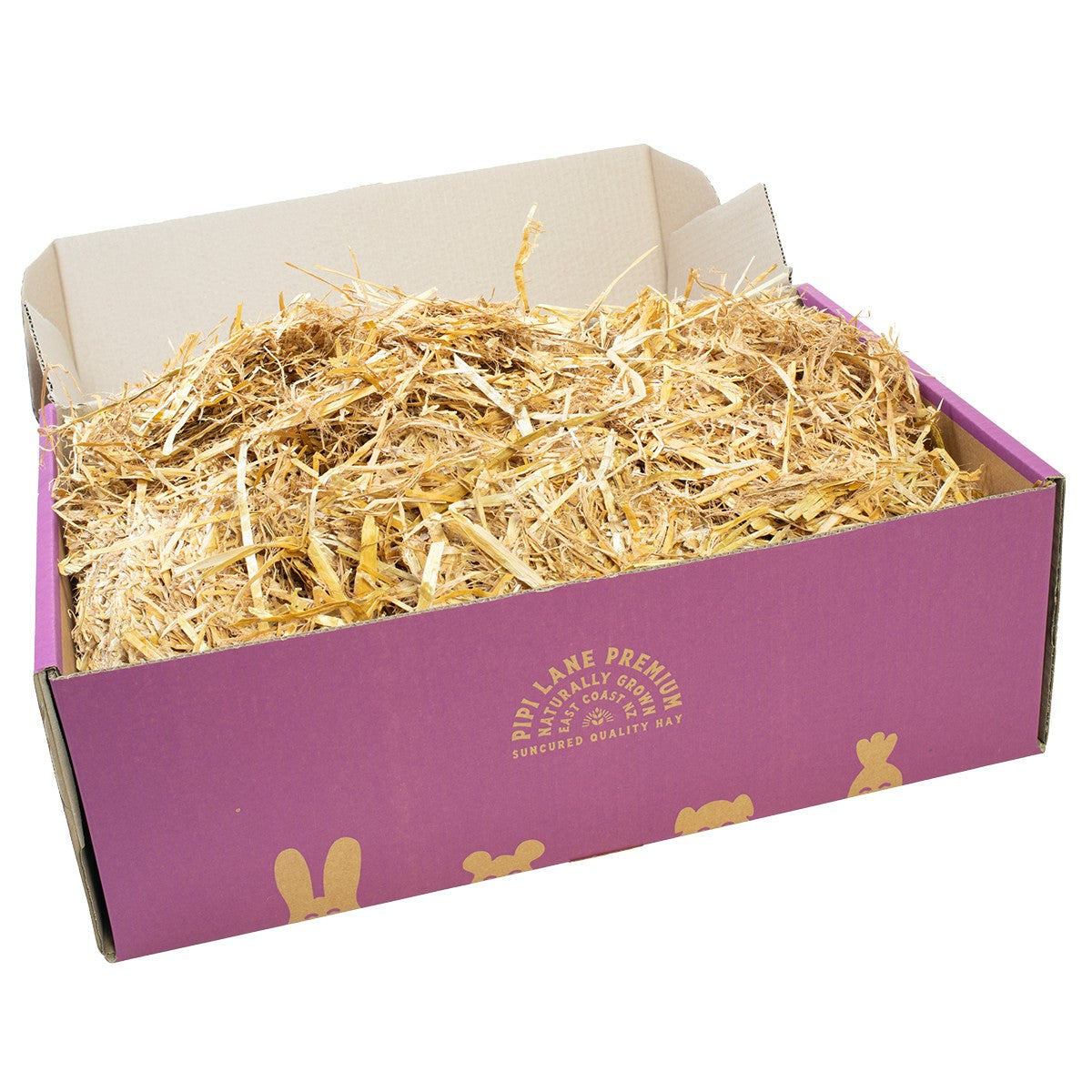 Pipi Lane Straw