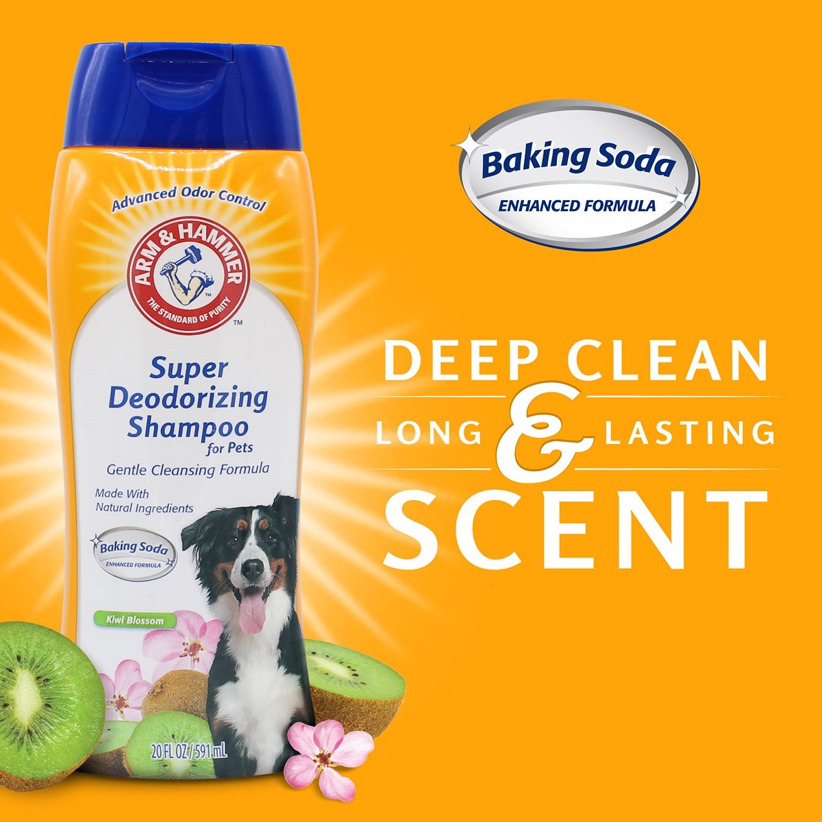 Arm & Hammer Super Deodorizing Dog Shampoo