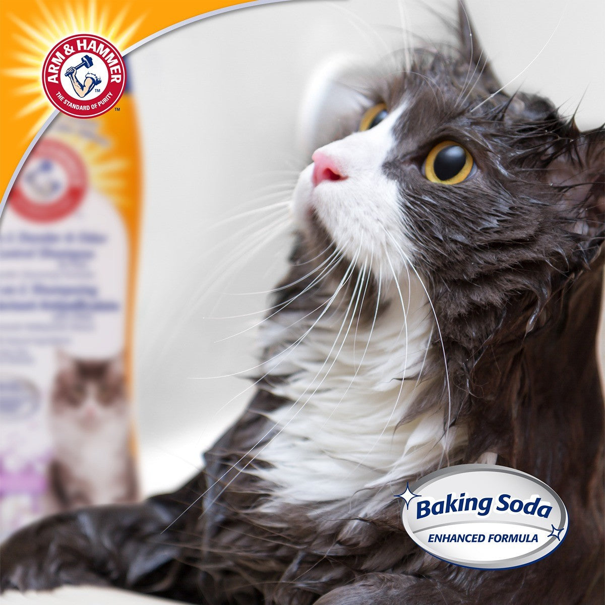 Arm & Hammer Deodorizing & Dander Reducing Shampoo for Cats