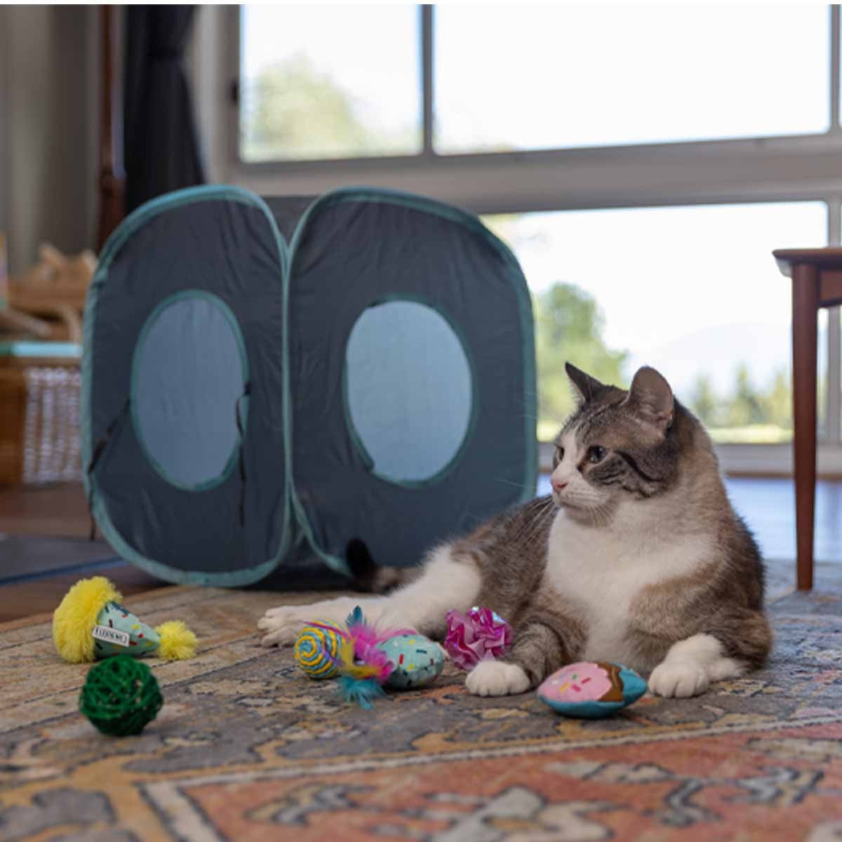 Lexi & Me Party Plush Cat Toy Multi Pack