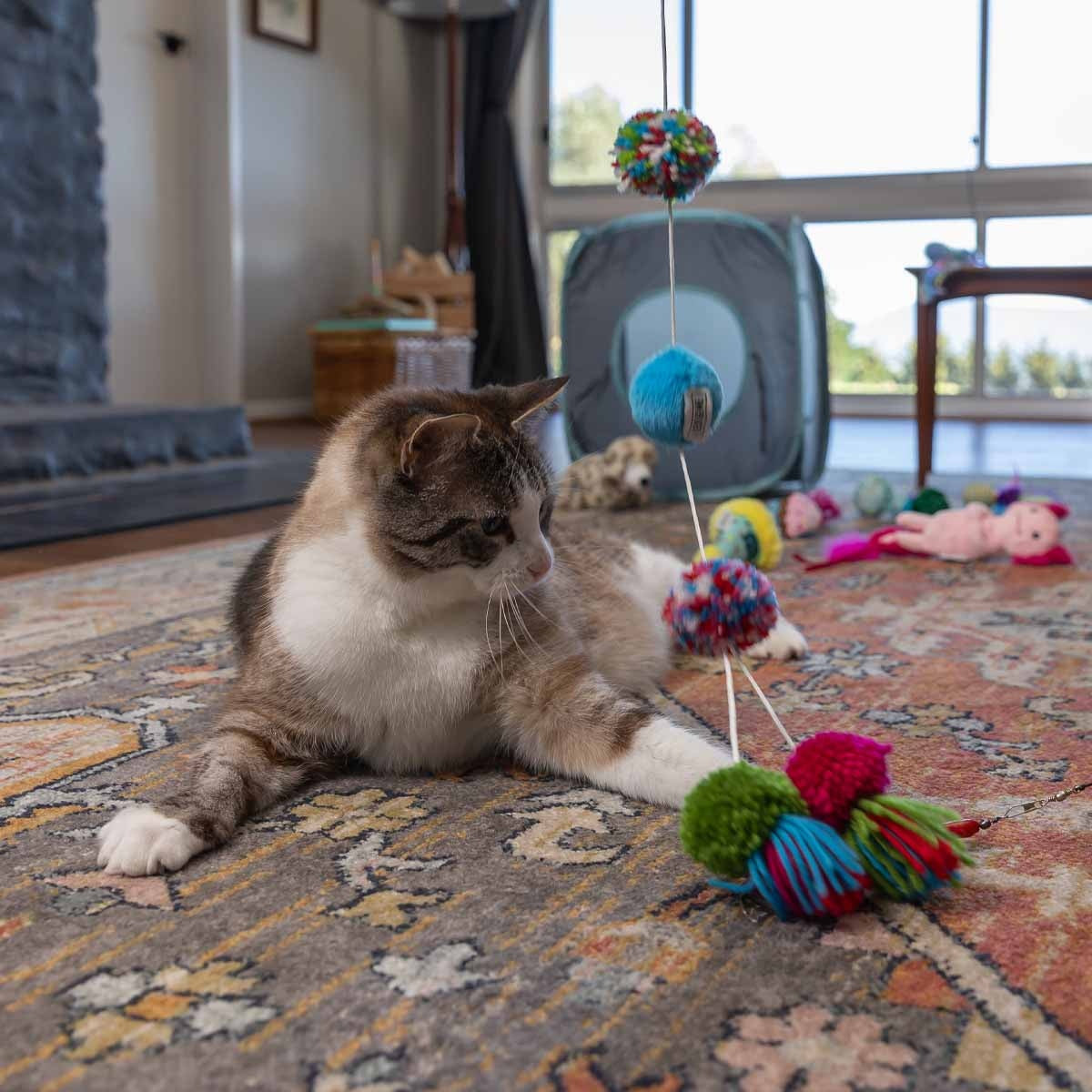 Lexi & Me Pom Pom Cat Teaser Wand