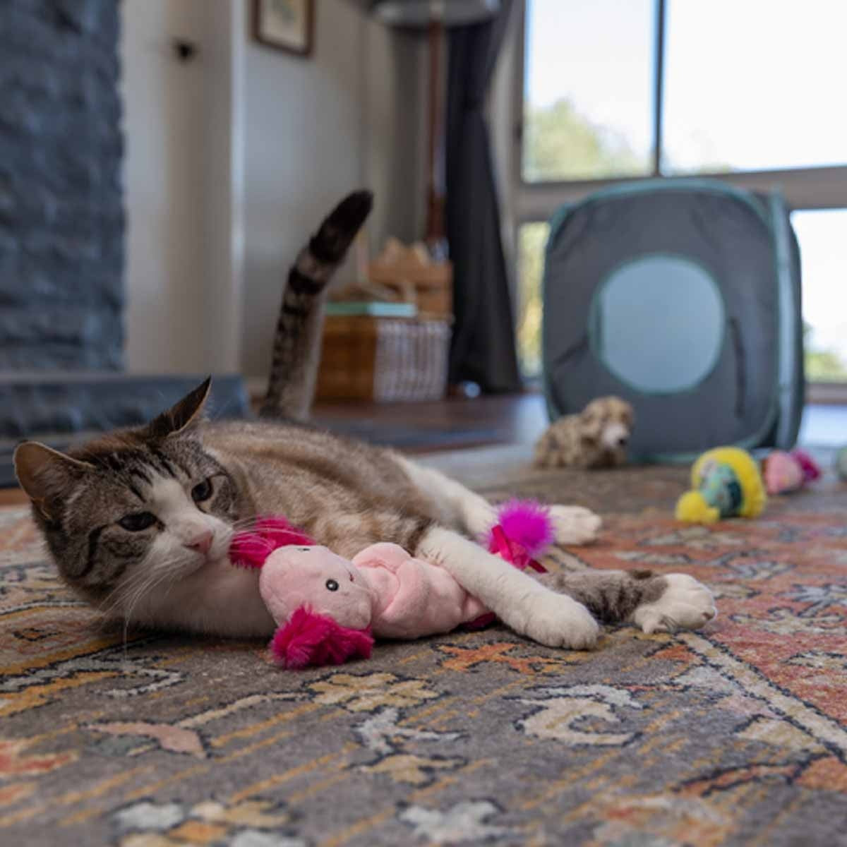 Lexi & Me Axolotl Plush Kicker Toy